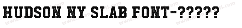 Hudson NY Slab font字体转换